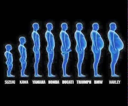 Evolución.jpg
