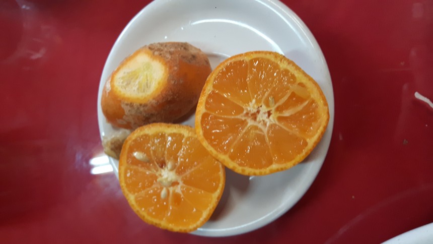 20170709_132435.jpg