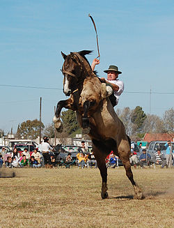 jineteada en zona sur.jpg