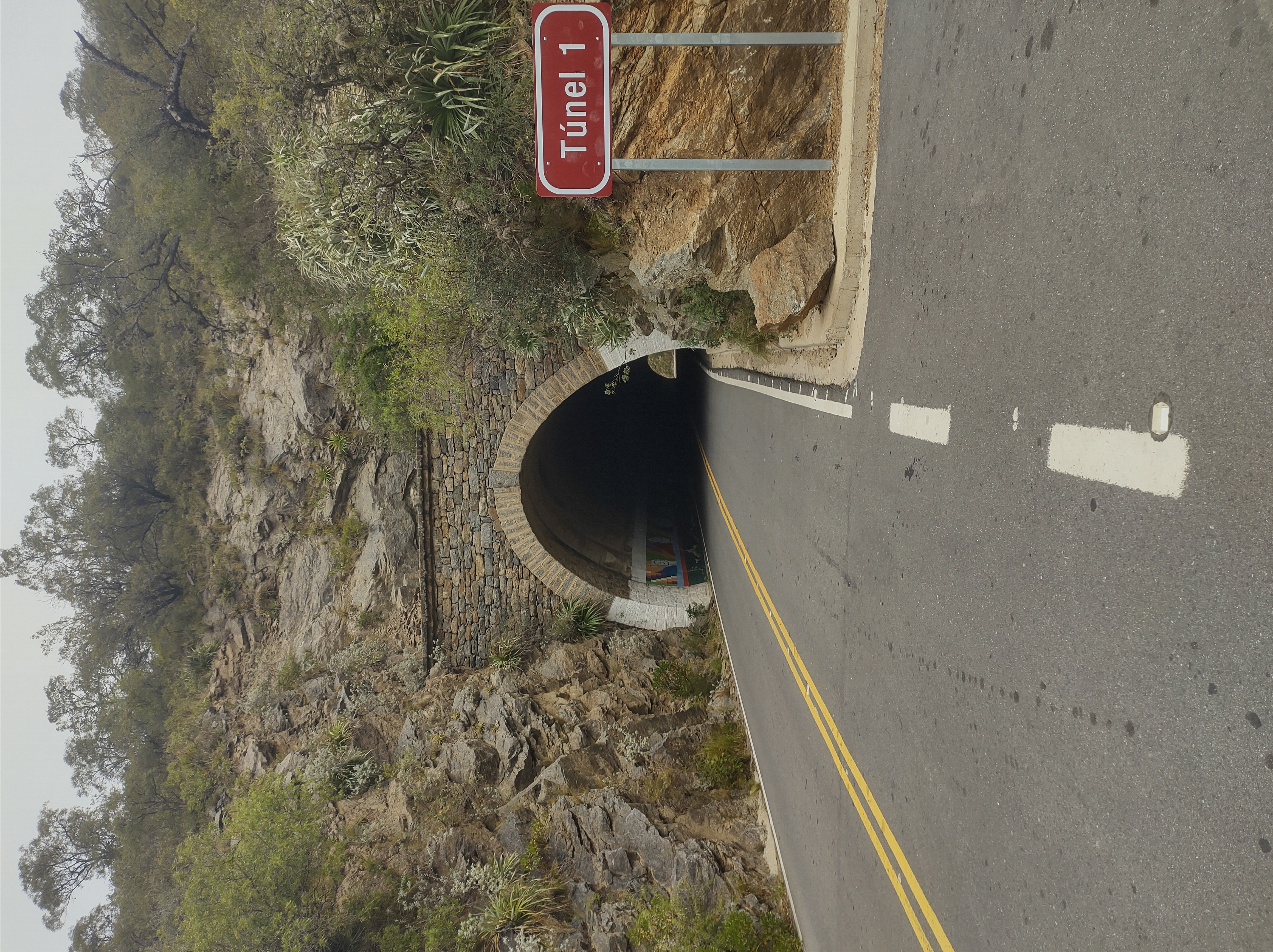 IMG_20230521_125358070_HDR.jpg